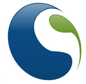 Plain Logo